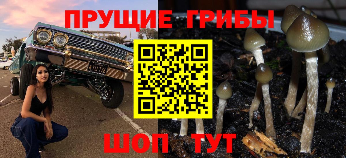 где можно купить наркотик  Псилоцибиновые грибы мицелий  Лениногорск  Вход с VPN  Псилоцибиновые грибы Magic Shrooms 
